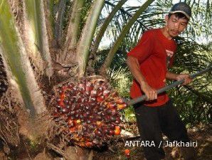 BW Plantations Belum Bisa Realisasikan Akuisisi