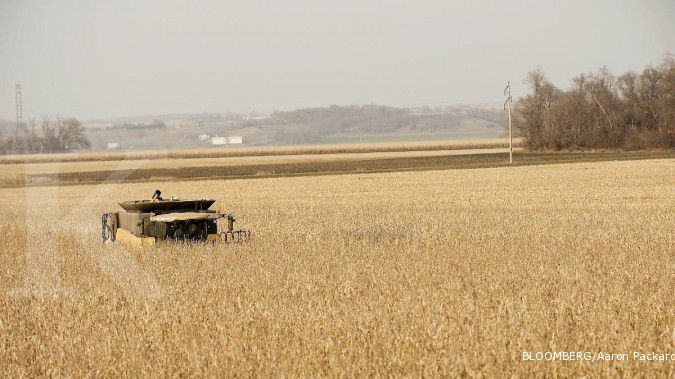 Terdampak Covid-19, petani AS tinggalkan lahan perkebunan jagung dan kapas