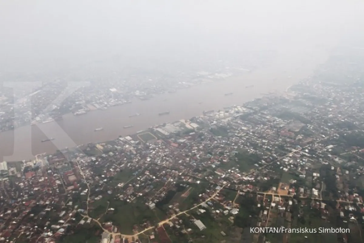 DPD desak pemerintah restorasi lahan gambut