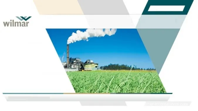 Singapore's Wilmar Posts 71% Quarterly Profit Jump on Oil, Food Segment Boost