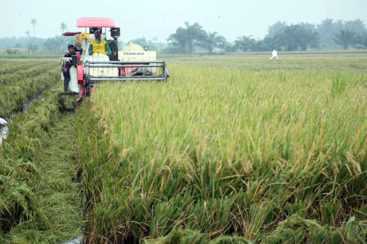 Kementan Dorong Penguatan Produksi dan Akses Pasar di Sektor Pertanian