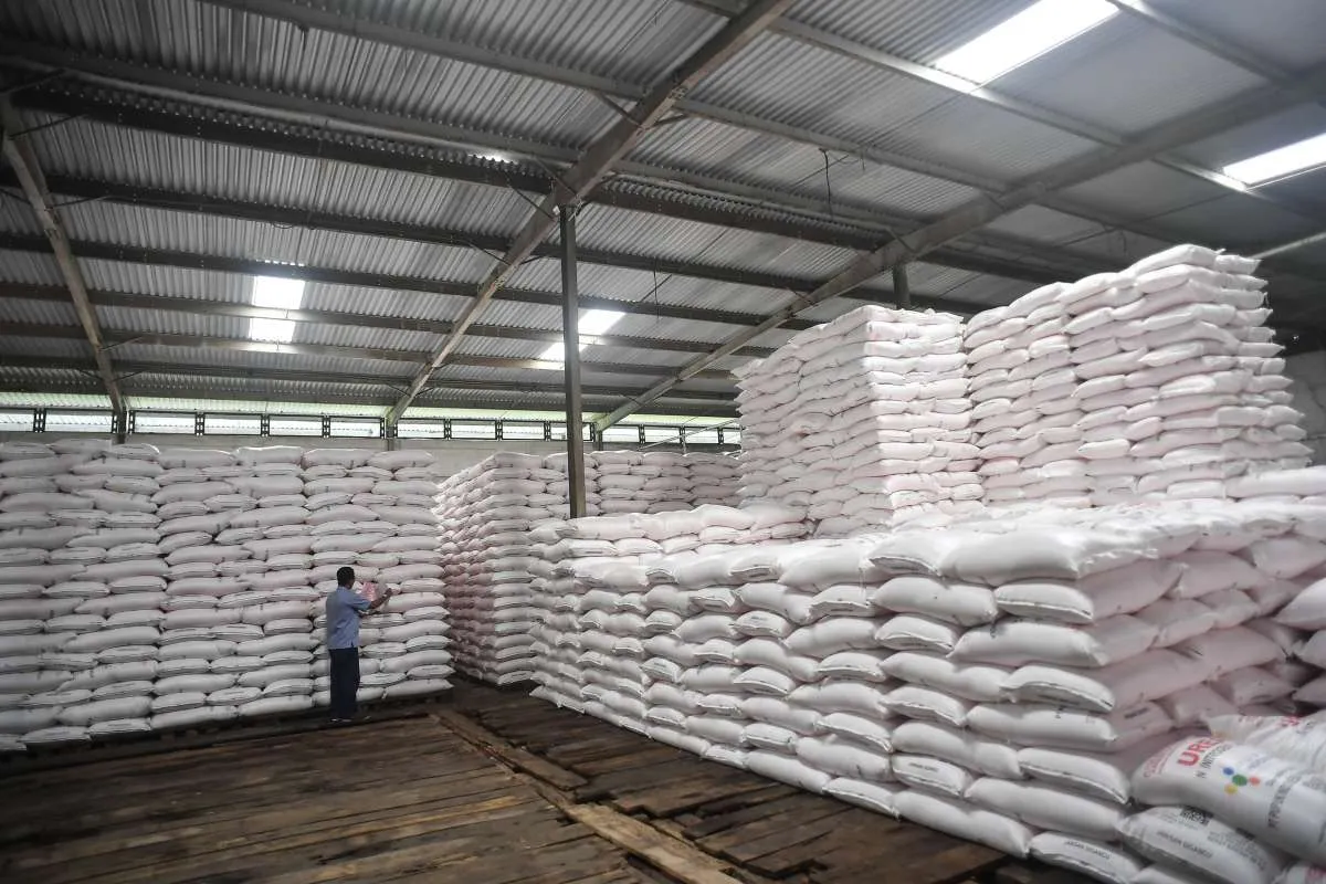 Di Tengah Gejolak Global, Pupuk Indonesia Bidik Peluang Ekspor Urea