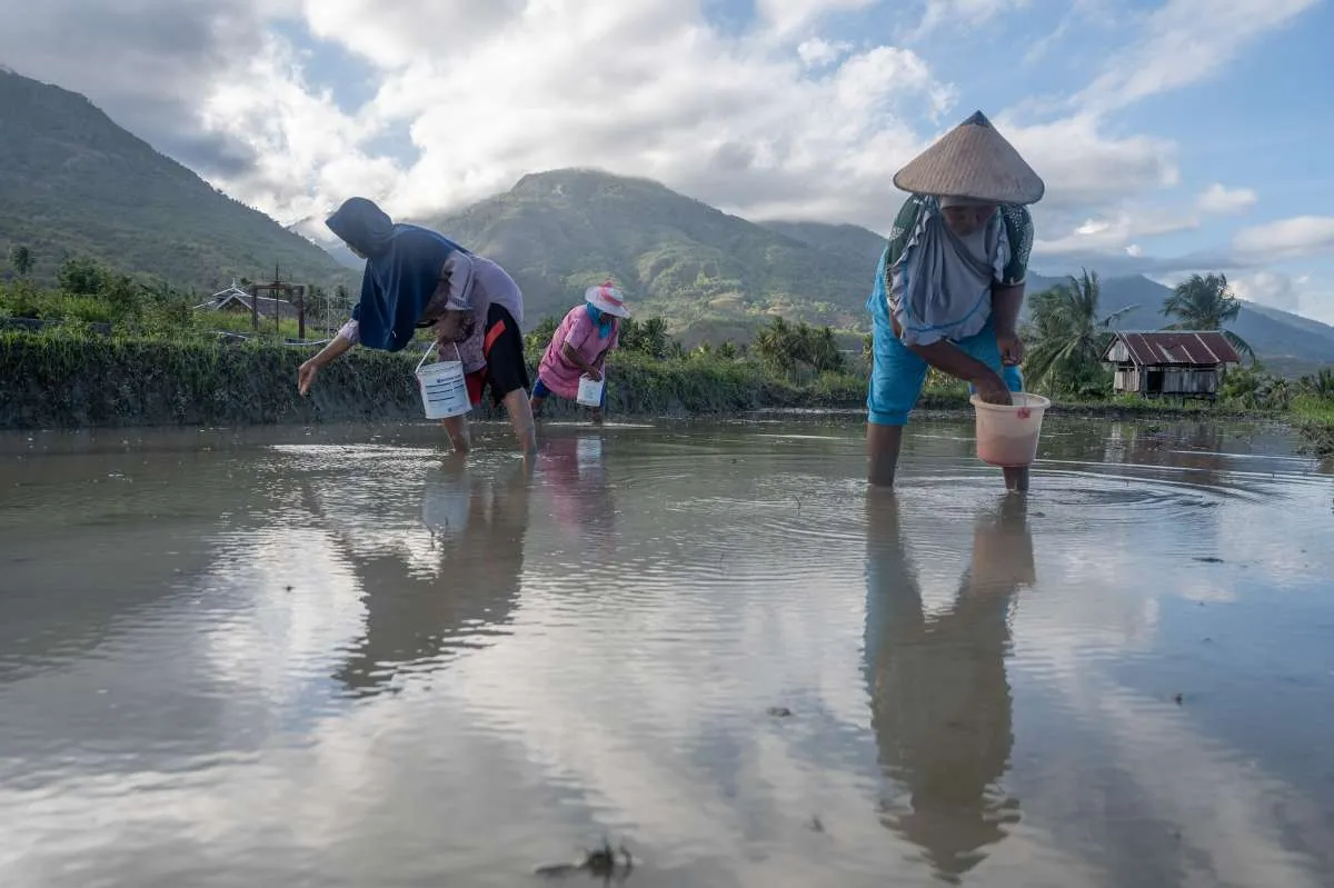 AEPI: Ekosistem Pertanian Hulu ke Hilir Solusi Stabilisasi Ketahanan Pangan RI