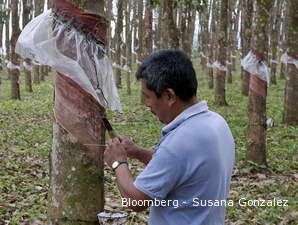 Harga Karet Terancam Turun