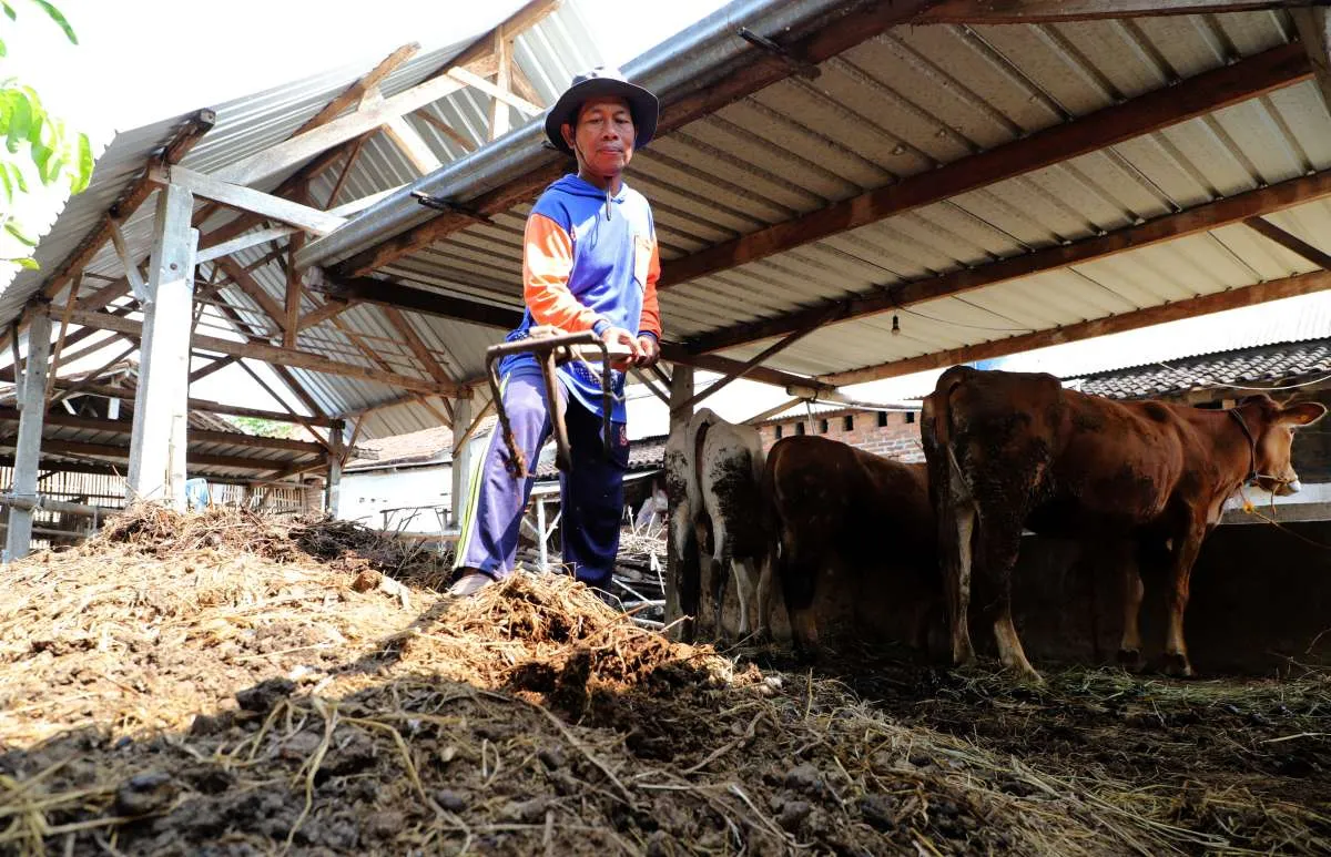 Pupuk Kaltim Perkuat Inovasi Hijau 