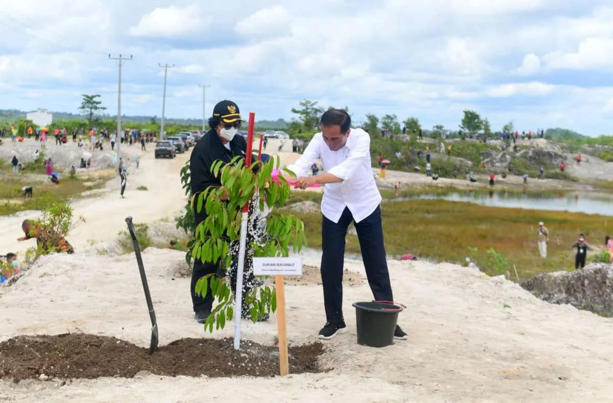 Jokowi tanam pohon di area bekas tambang di Sintang, Kalimantan Barat