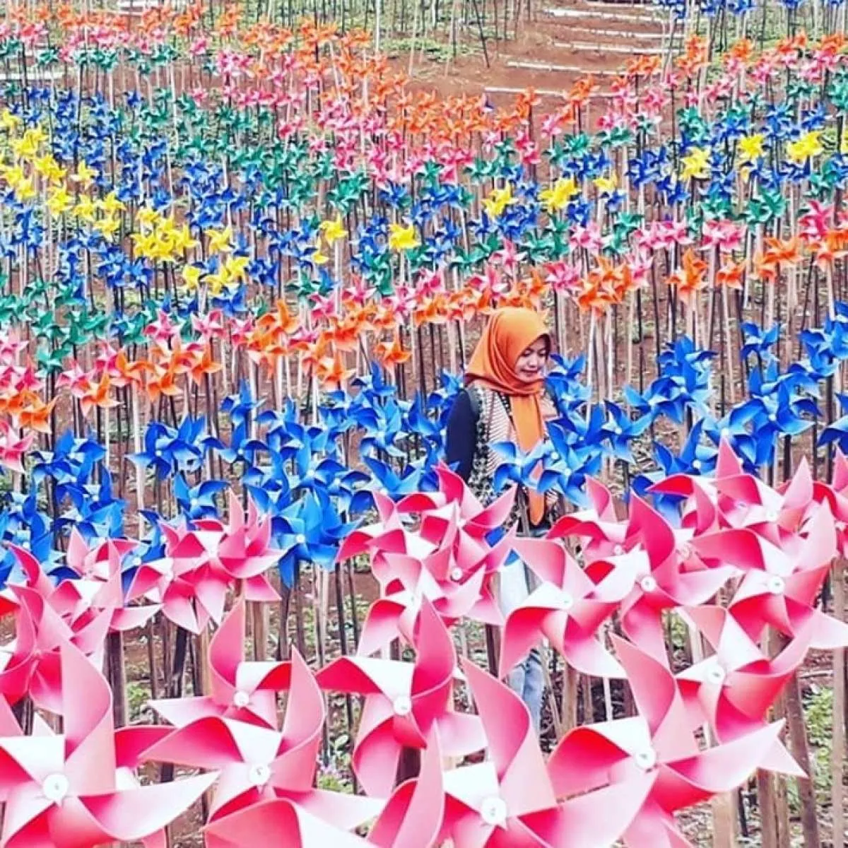 Taman Zandea, tempat wisata teranyar di Kabupaten Bandung