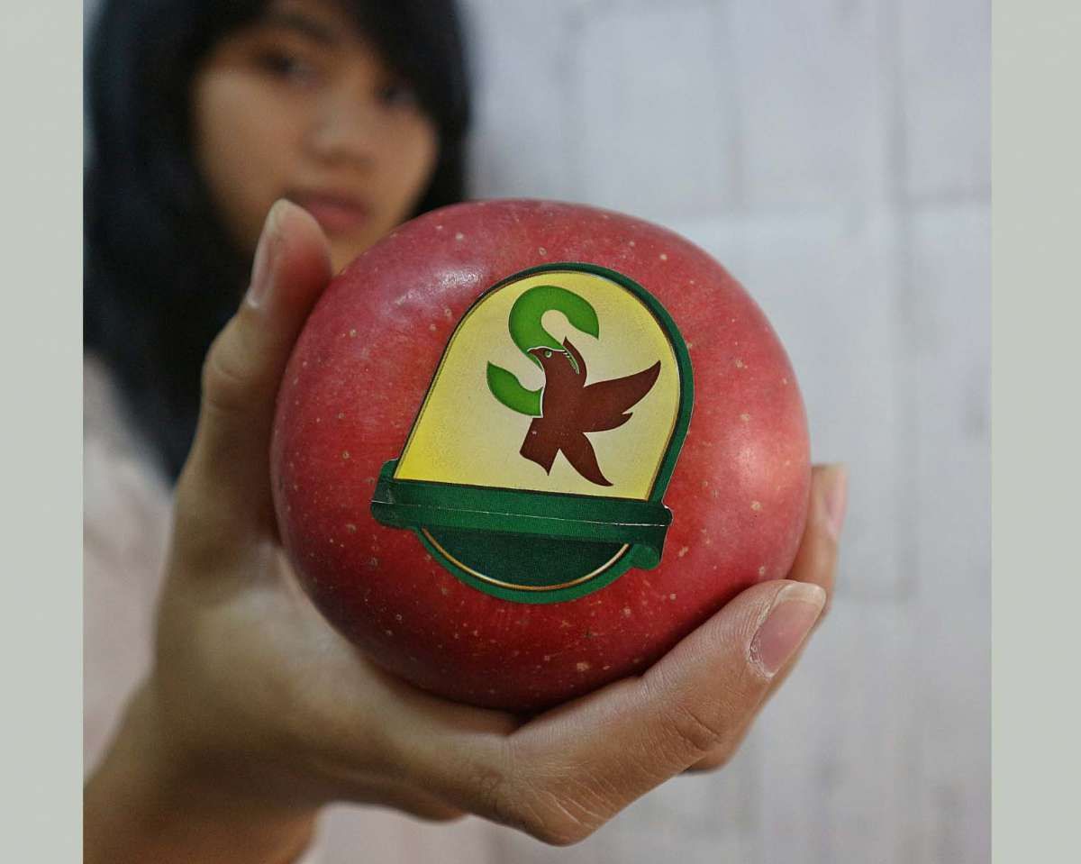 Segar Kumala Indonesia (BUAH) Menggaet Restu Stock Split