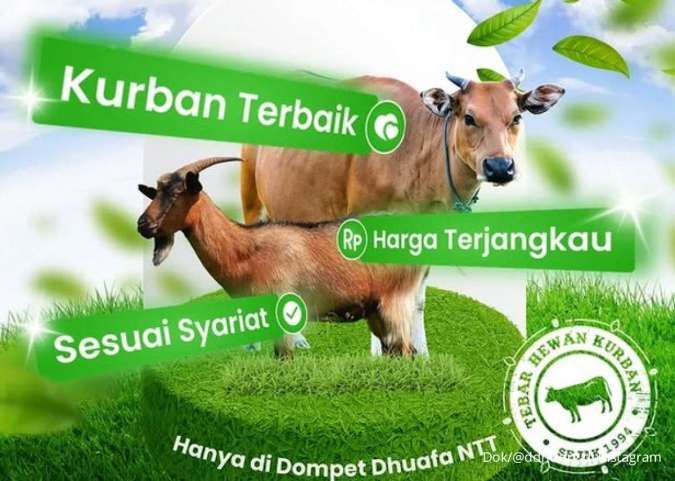 Harga Kambing Kurban di NTT Menurut Dompet Dhuafa 2025, Termurah Rp 1,75 Juta