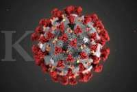 Biofarma gandeng Eijkman Institute kembangkan vaksin virus corona