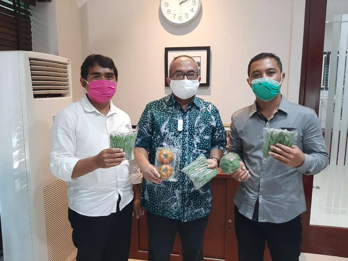 Petani Lembang mulai jajaki ekspor sayuran ke Singapura
