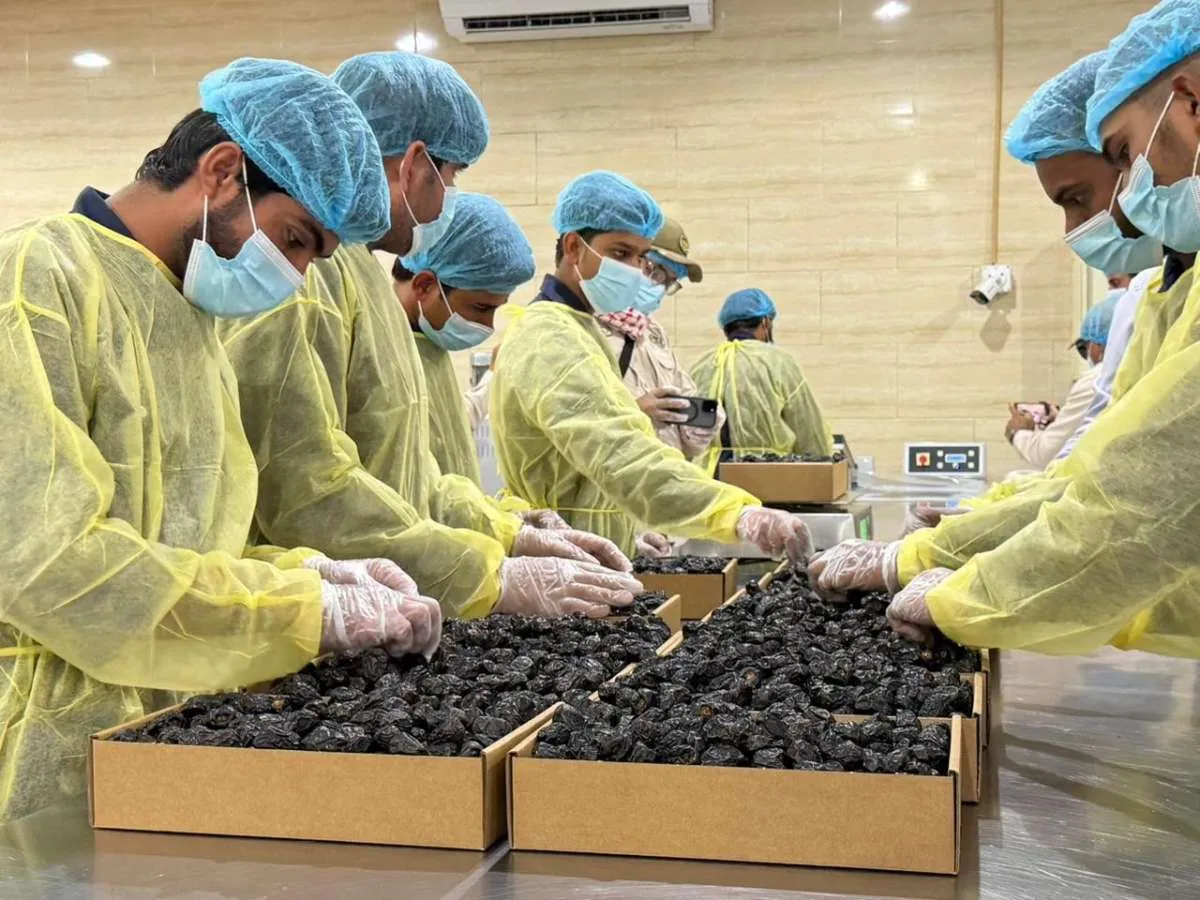 Castle Farms di Madinah Andalkan AI untuk Jaga Kualitas Kurma Ajwa Ekspor