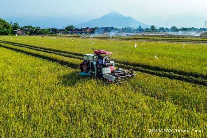 Prakiraan Cuaca Jawa Timur Besok (14/8) Didominasi Cerah, Kota Batu Paling Dingin