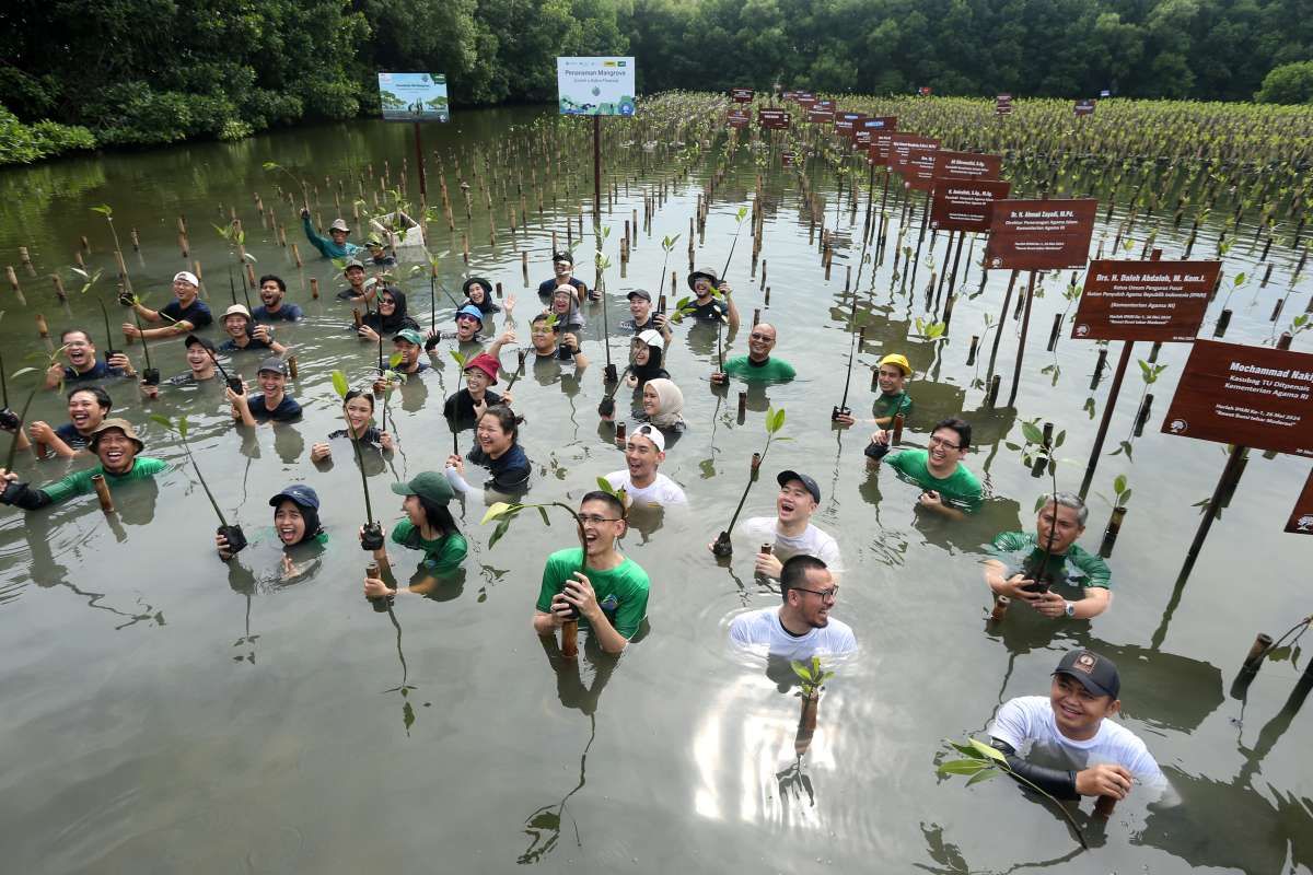 Zurich bersama Adira Finance Tanam Ratusan Bibit Mangrove untuk Reforestasi Hutan Bakau