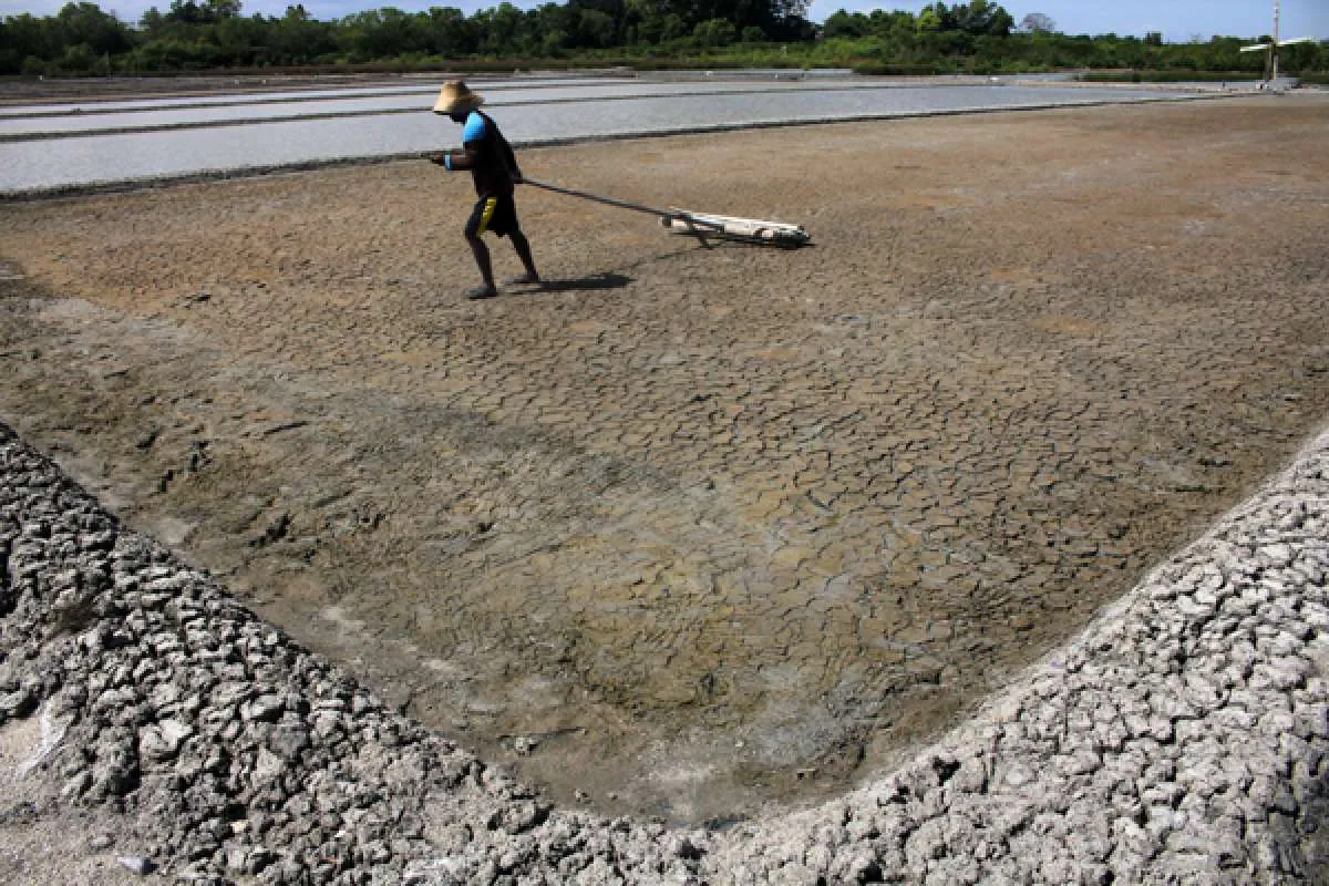 BMKG: Potensi Hujan Petir di Pamekasan, Bangkalan, Pasuruan dan Lumajang