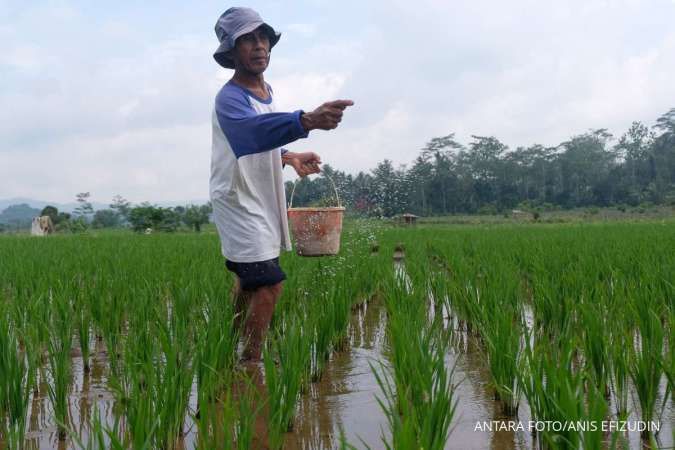 Mulai Disalurkan, Inilah Cara Baru Beli Pupuk Subsidi 2025, Harga Rp 2.000-an Per Kg