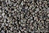 SIG buat Kopi Simalungun dan Sindoro Sumbing