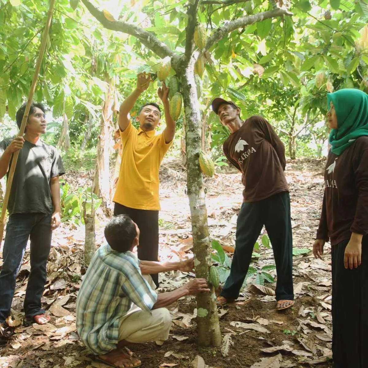 Kolaborasi dengan Bank DBS Indonesia, Ini 5 Cara Krakakoa Bangkitkan Industri Cokelat