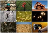 Harga Nikel Shanghai Sentuh Level Tertinggi 3 Bulan Rabu (29/4), Pasokan Tertekan