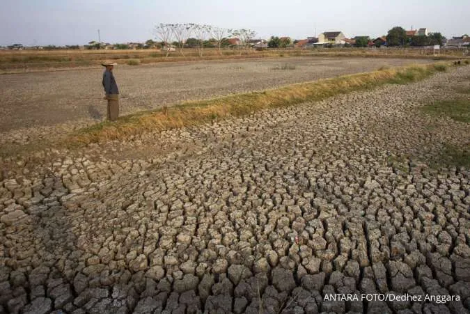 Indonesia Dry Season to be Less Severe This Year, Weather Agency Says