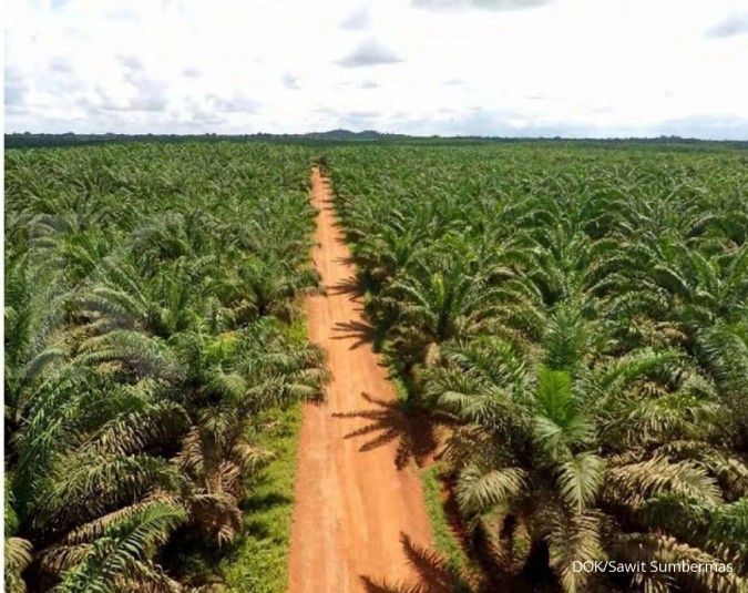 Gapki: Perkebunan kelapa sawit membawa kemajuan di daerah