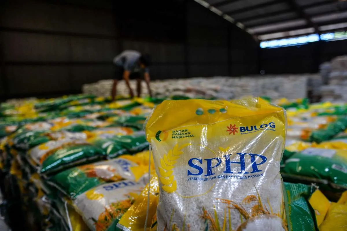 Bulog: Realisasi Pengadaan Beras Dalam Negeri Mencapai 427 Ribu Ton