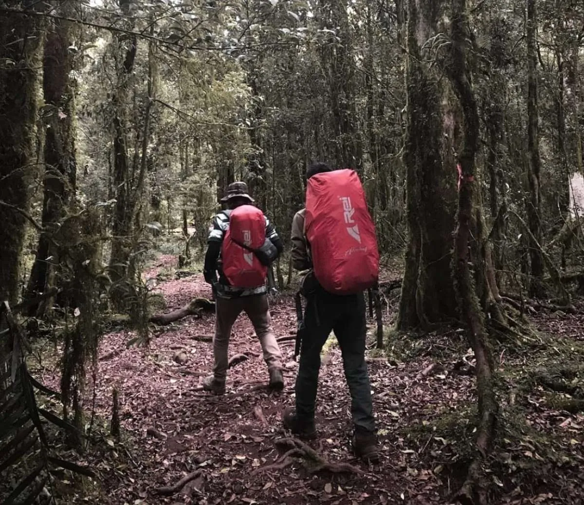 Ini jurus Arei Outdoor Gear tingkatkan penjualan tahun 2021