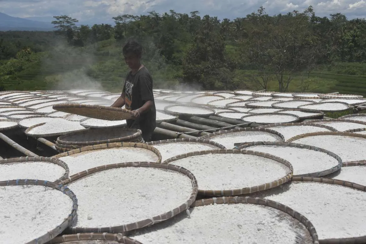 Hilirisasi Industri Pertanian Perlu Didorong untuk Dorong Perekonomian