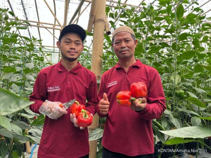 Bermitra dengan 100 Petani, Sarimelati (PZZA) Produksi 80 Ton Paprika Per Tahun