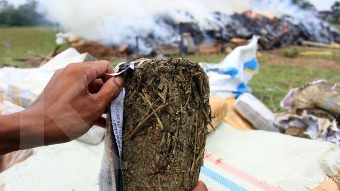 Uruguay melegalkan budidaya dan konsumsi ganja