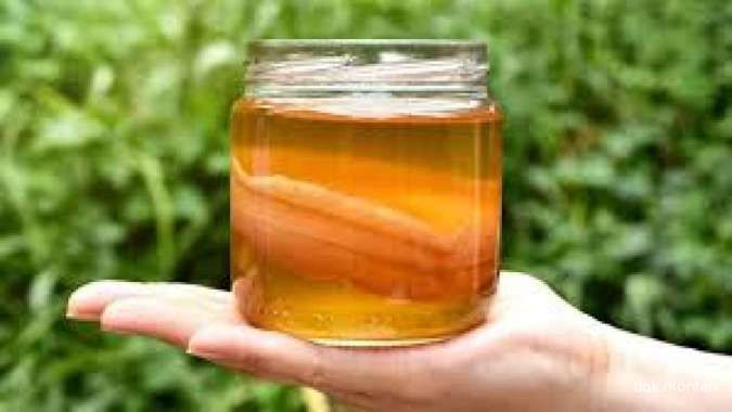 7 Minuman Fermentasi yang Bagus untuk Kesehatan Tubuh, Apa Saja?