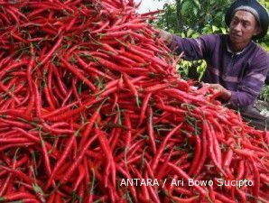 Pemerintah ngaku tak bisa kendalikan harga cabai