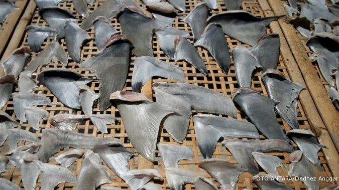 KKP gagalkan perdagangan spesies ikan dilindungi