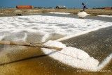 Sentra Garam di Rote Ndao Jadi Tumpuan Swasembada Garam 2027, Seberapa Realistis?