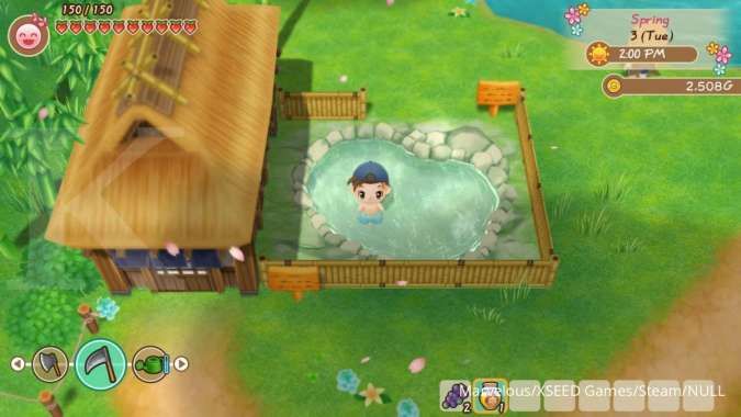 harvest moon for pc