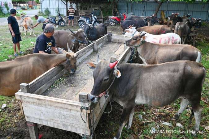 Idul Adha 2026: Pahami Syarat Hewan Kurban Agar Ibadah Diterima