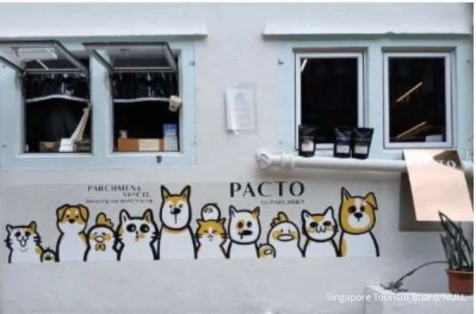 Pacto by Parchmen