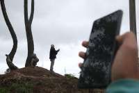 Cek Penyebab dan Cara Mengatasi Telkomsel Tidak Ada Jaringan