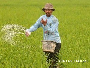 Siswono: 70 ribu hektare sawah baru belum mencukupi