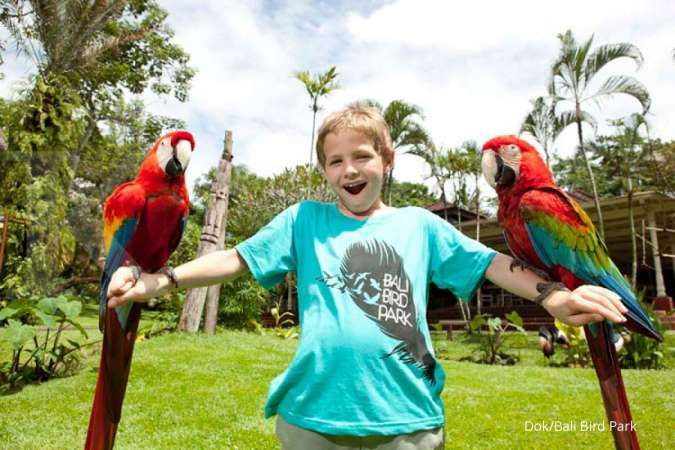 Mau bermain dengan burung di pulau dewata, ini harga tiket masuk Bali Bird Park