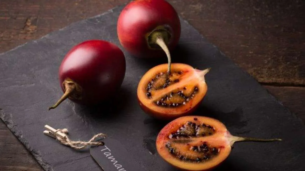 3 Jenis Terong Ini Efektif Menurunkan Gula Darah pada Penderita Diabetes