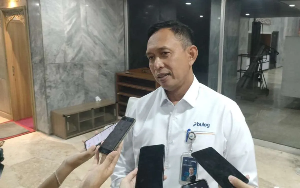 Ada Beras Mengendap Lebih dari Setahun di Gudang, Dirut Bulog: Kondisinya Bagus