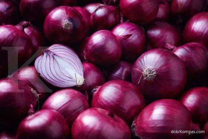 Bawang merah bermanfaat mengobati diabetes melitus