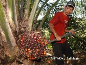 Harga CPO melorot seiring spekulasi tingginya produksi