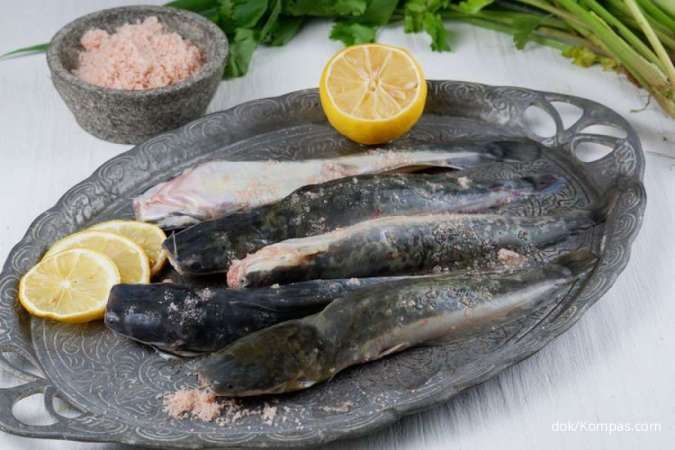 Menurunkan Berat Badan, 3 Manfaat Ikan Lele yang Kaya Nutrisi 