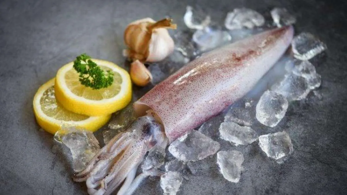 Membentuk Otot, 3 Manfaat Cumi-Cumi yang Kaya Nutrisi 