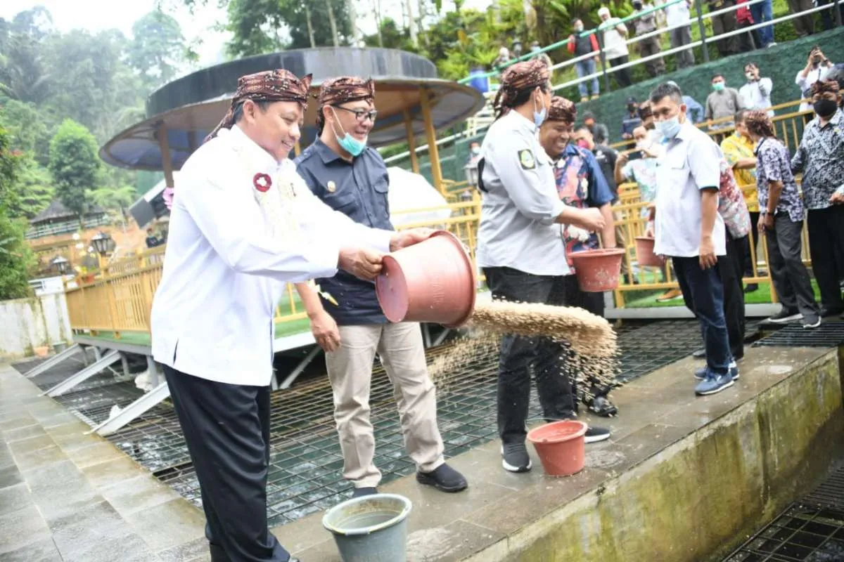 Antam Ubah Bekas Pertambangan Liar Jadi Lokasi Wisata Alam