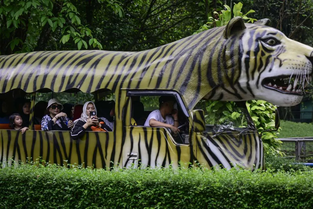 Ragunan Kedatangan Satwa Baru, Cek Harga Tiket & Jadwal Operasional Terbaru
