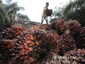 Saham LSIP memimpin kenaikan di sektor agrikultur