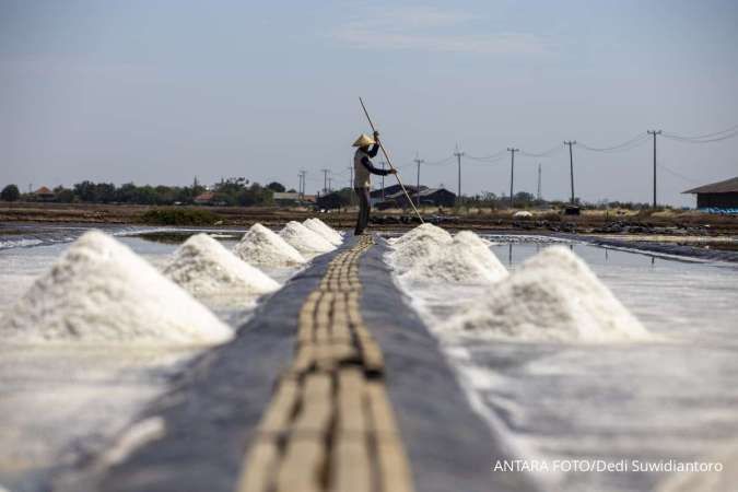 Target Swasembada Garam 2027 Perlu Diikuti Kewajiban Serap Produksi Lokal